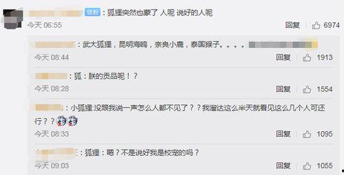 武汉网红爆料视频,揭秘城市生活新视角