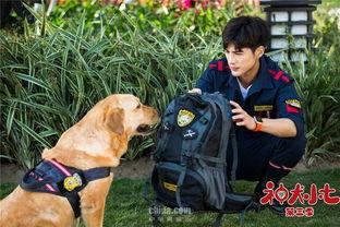 神犬小七第三季在线观看,忠诚守护，再续传奇