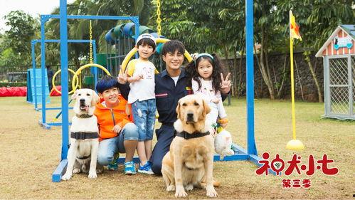 神犬小七第三季在线观看,忠诚守护，再续传奇  第3张