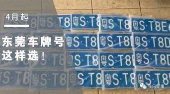 今日莞事爆料官方网站,聚焦东莞最新动态，揭秘城市热点事件