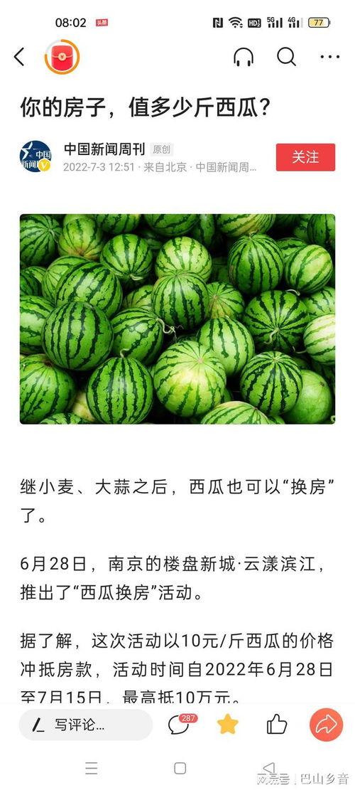 吃瓜免费全部,揭秘吃瓜免费背后的真相与魅力 第3张 吃瓜免费全部,揭秘吃瓜免费背后的真相与魅力 第3张