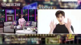 安静公主被爆料视频,真相与争议交织  第3张
